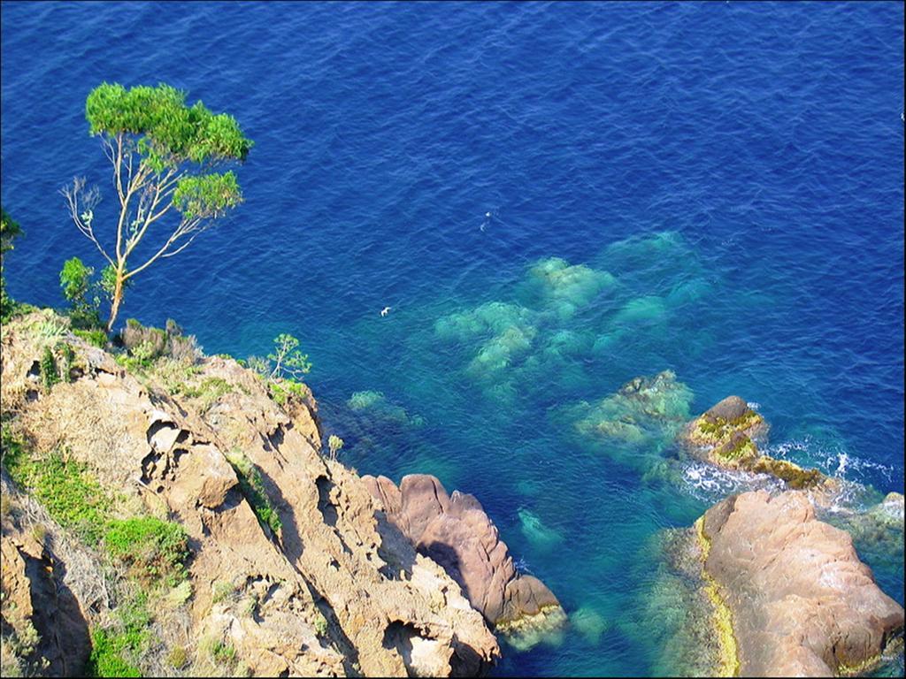 Vacancéole - Les Calanques Du Parc Fréjus Esterno foto